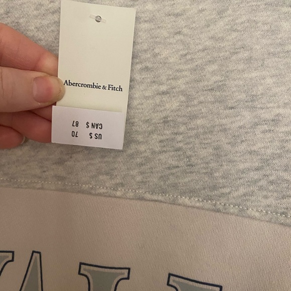Abercrombie & Fitch Gray and Cream Crewneck Sweater - Picture 4 of 7